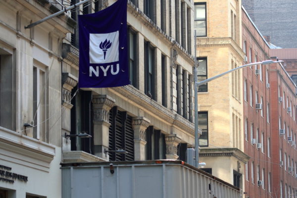 Young Red-tailed Hawk sitting on side of NYU building, Washington Square Park (NYC)