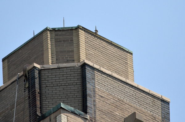 NYC Red-tailed Hawk cam fledgling sitting on roof of the One Fifth Avenue building, Washington Square Park