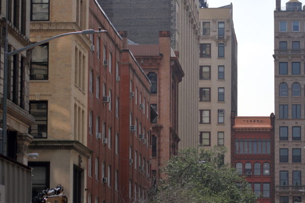 Young Red-tailed Hawk sitting on NYU building in distance, Washington Square Park (NYC)