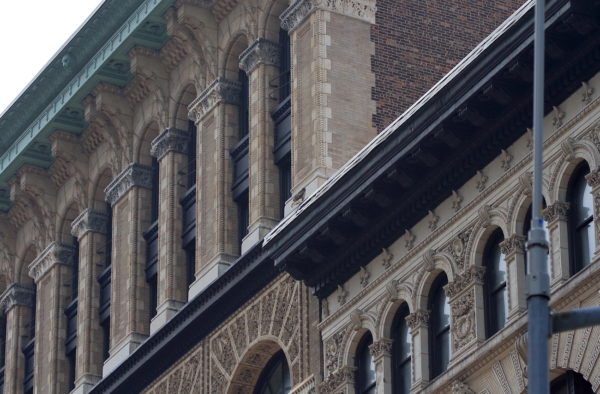 Young Red-tailed Hawk sitting on city NYU buildings, Washington Square Park (NYC)