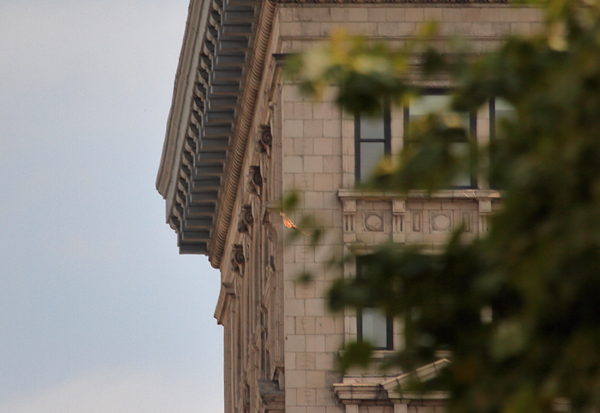 NYC Red-tailed Hawk flying by building