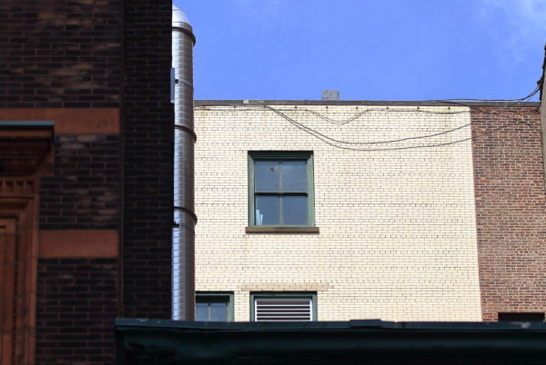 Red-tailed Hawk feather floating in front of NYC window