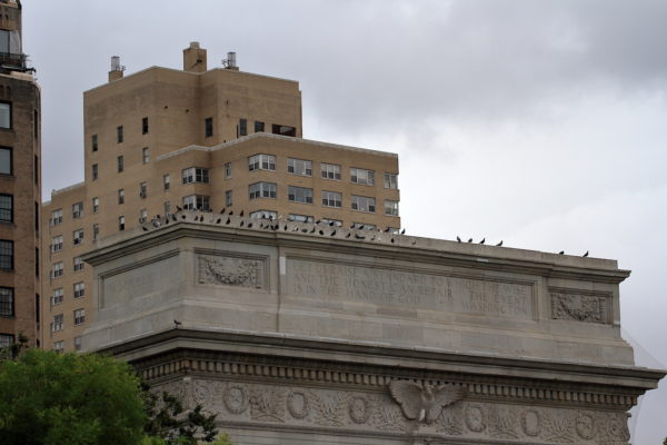 Pigeons sitting on Washington Square Park arch