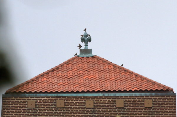 Birds on Washington Square Park building finial