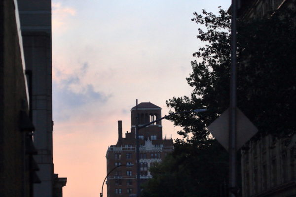 Washington Square Park Hawk sitting on distant building at sunset