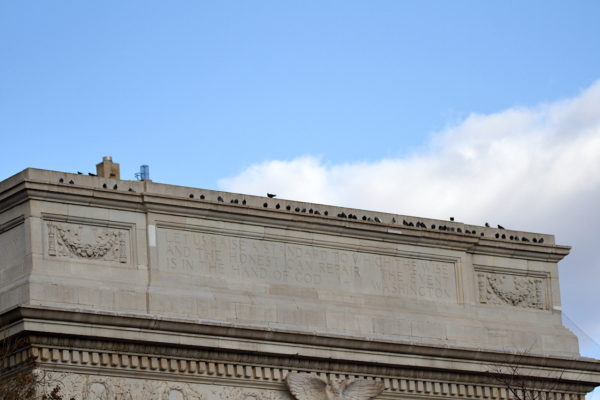 Washington Square Park pigeons sitting on the arch