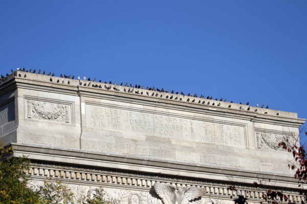 Washington Square Park pigeons gathered on the arch