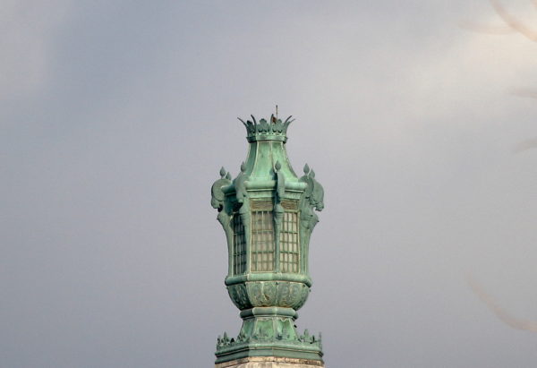 Washington Square Park Hawk Sadie perched on Con Edison tower