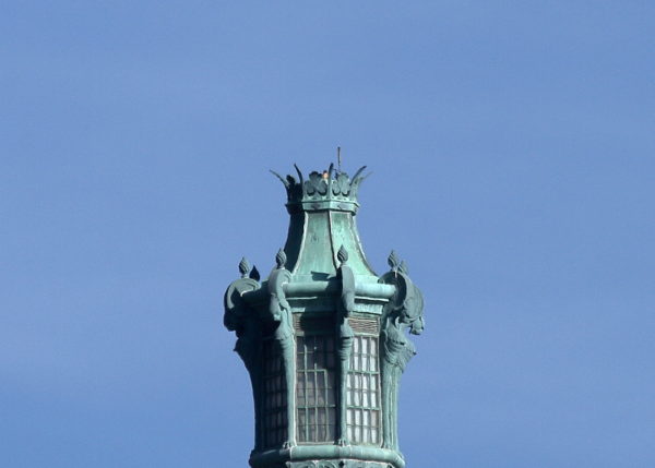 Washington Square Park Hawk Bobby on Con Edison tower