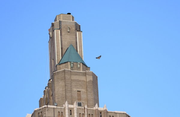 Bobby Hawk about to land on One Fifth Avenue apartment building