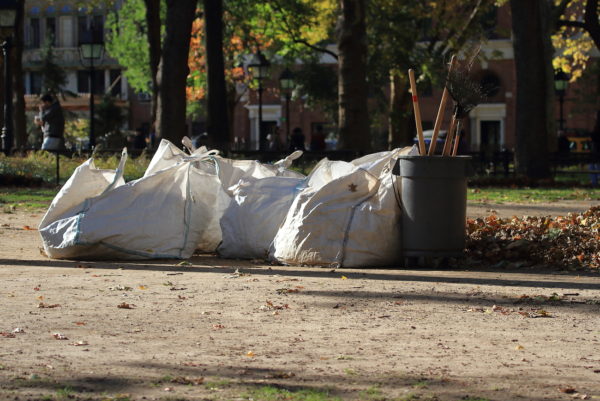 Washington Square Park leaves stuffed into white bags