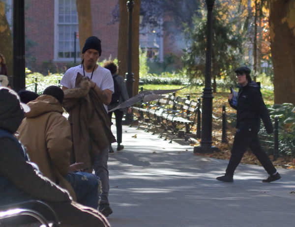 Young Washington Square Park Hawk flying near group of people on and near bench