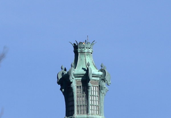 Washington Square Park Hawks Bobby and Sadie on Con Edison tower