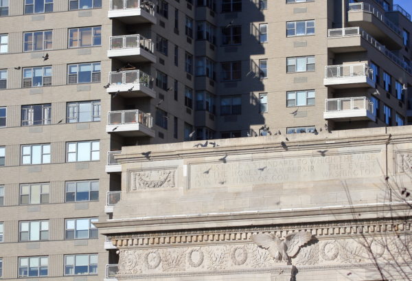 Washington Square Park pigeons flying to and landing on the arch