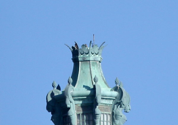 Bobby and Sadie Hawks sitting together on the Con Edison tower