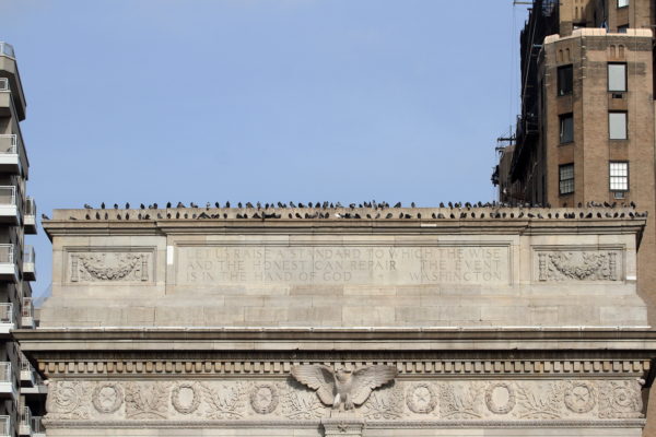 Pigeons sitting on the Washington Square Park arch