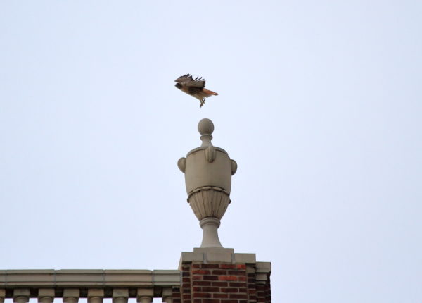 Bobby flying off building top urn ornament