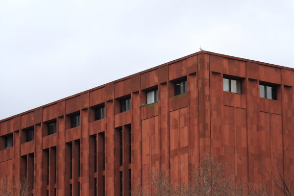 NYU Bobst Library Hawk nest with no scaffolding