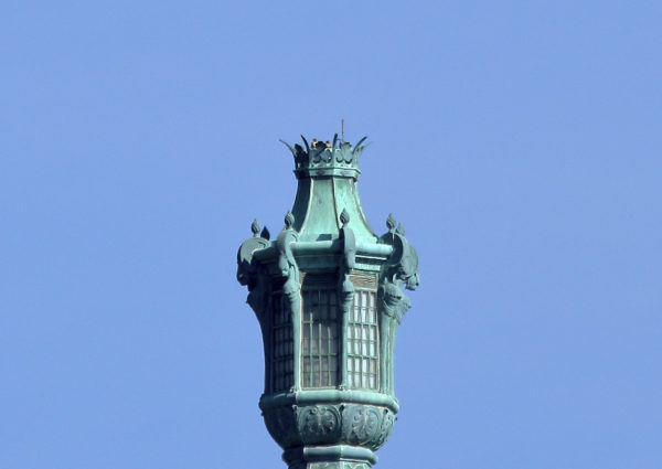 Washington Square Park Hawks on Con Edison tower