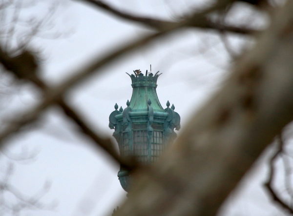 Washington Square Park Hawks mating on tower
