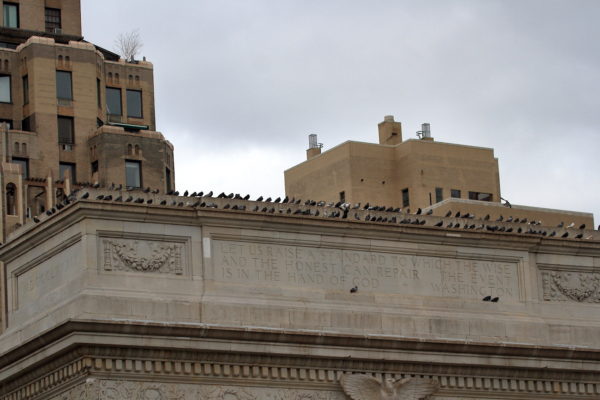 Washington Square Park pigeons sitting on the arch