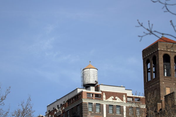 Red-tailed Hawk on NYC water tower