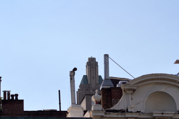 Distant view of Hawk on One Fifth Avenue building