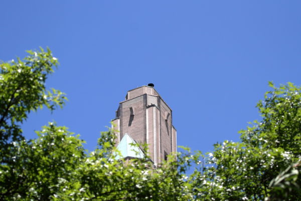 Adult Hawks sitting on distant One Fifth Avenue building