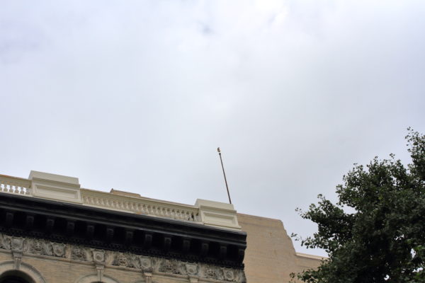 distant Hawk on NYU flag pole